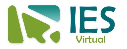 Consultora Educativa
